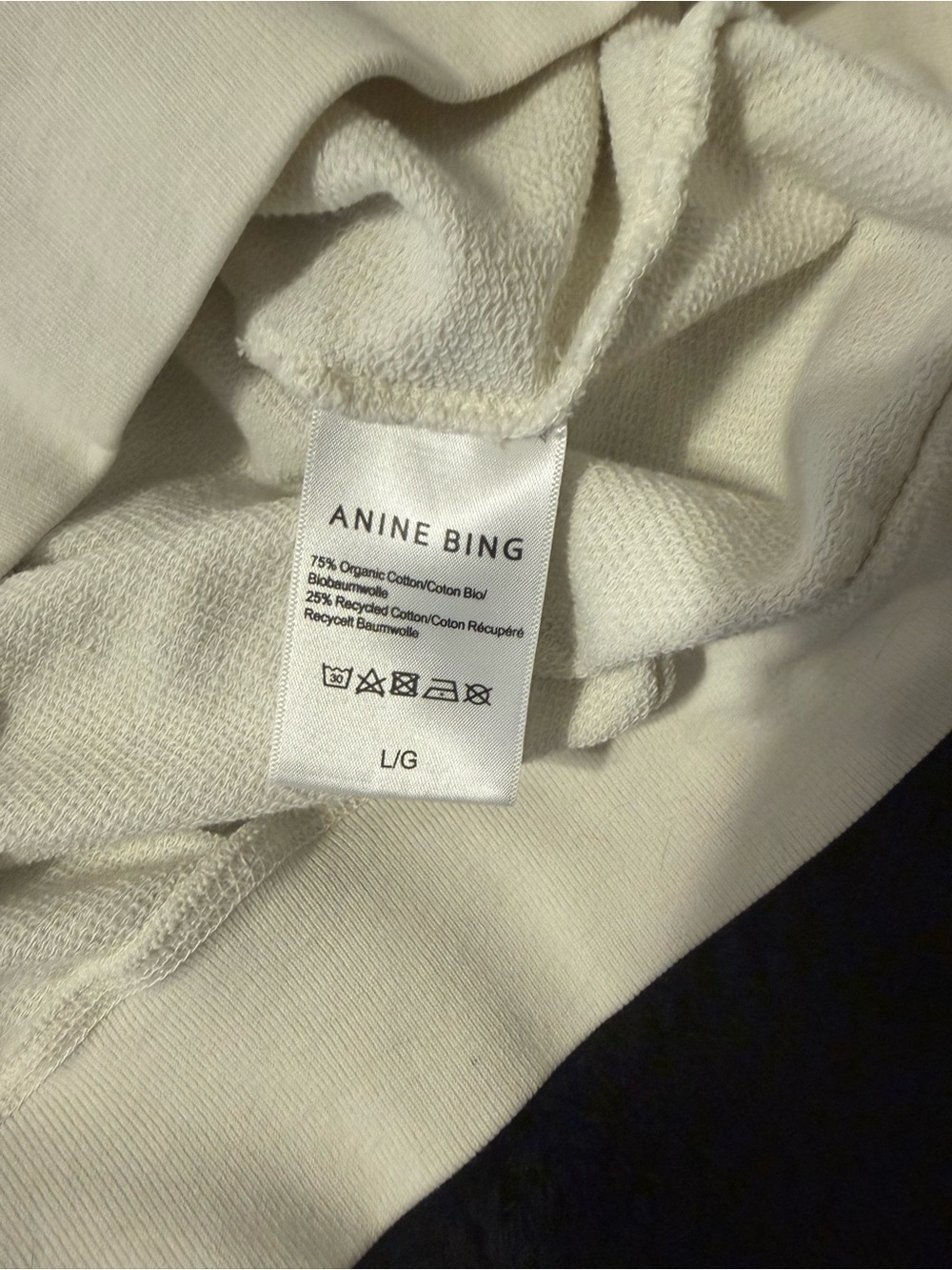 Anine Bing Arlo Desert Road Sweatshirt - Picture 5 of 5